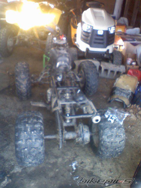 Photo 2135083