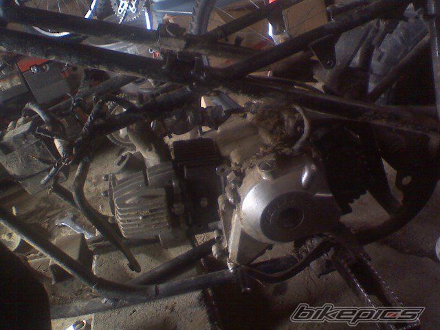 Photo 2135085