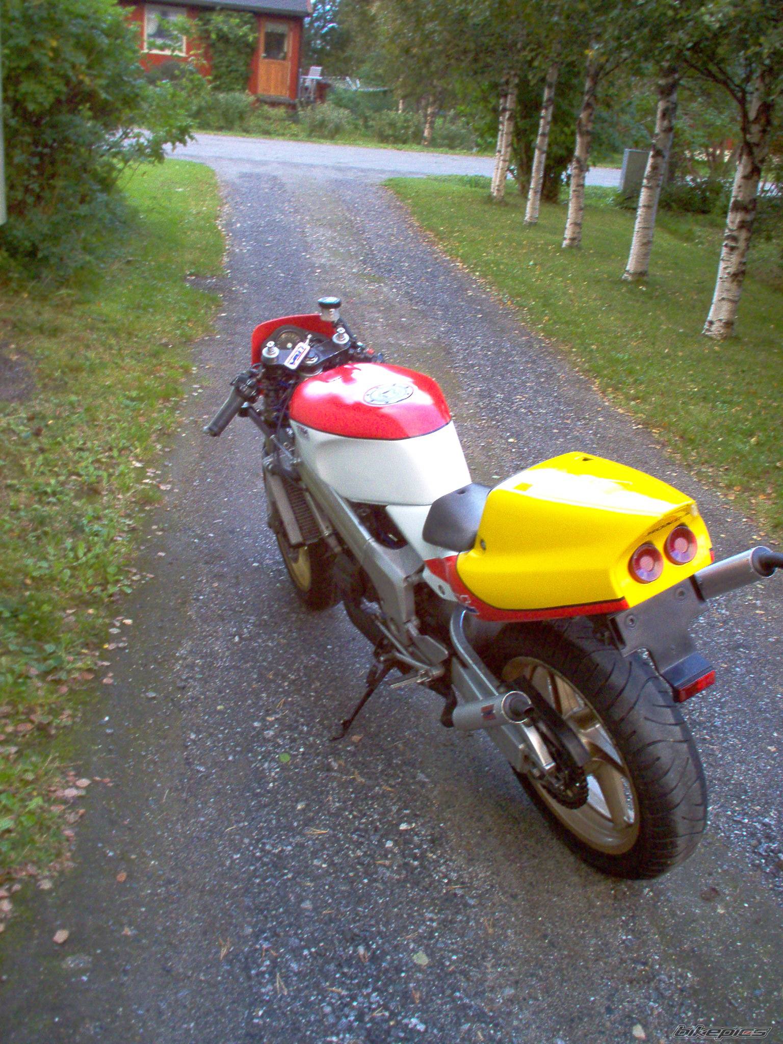 Photo 213517