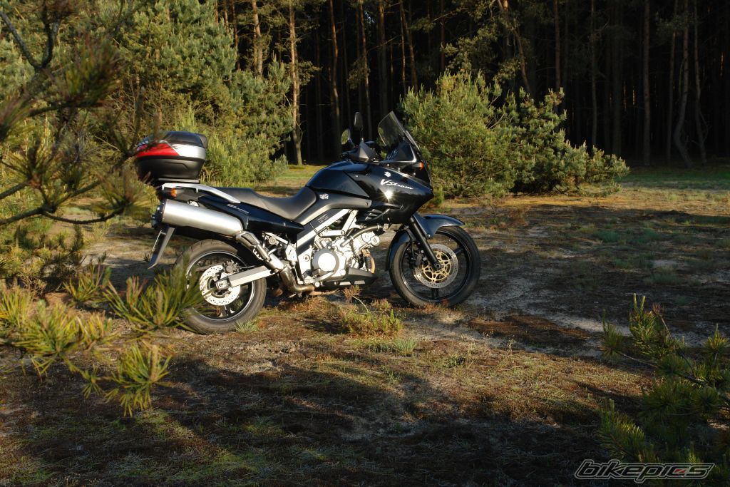 Photo 2135521