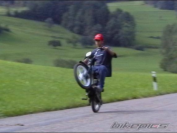 Photo 213557