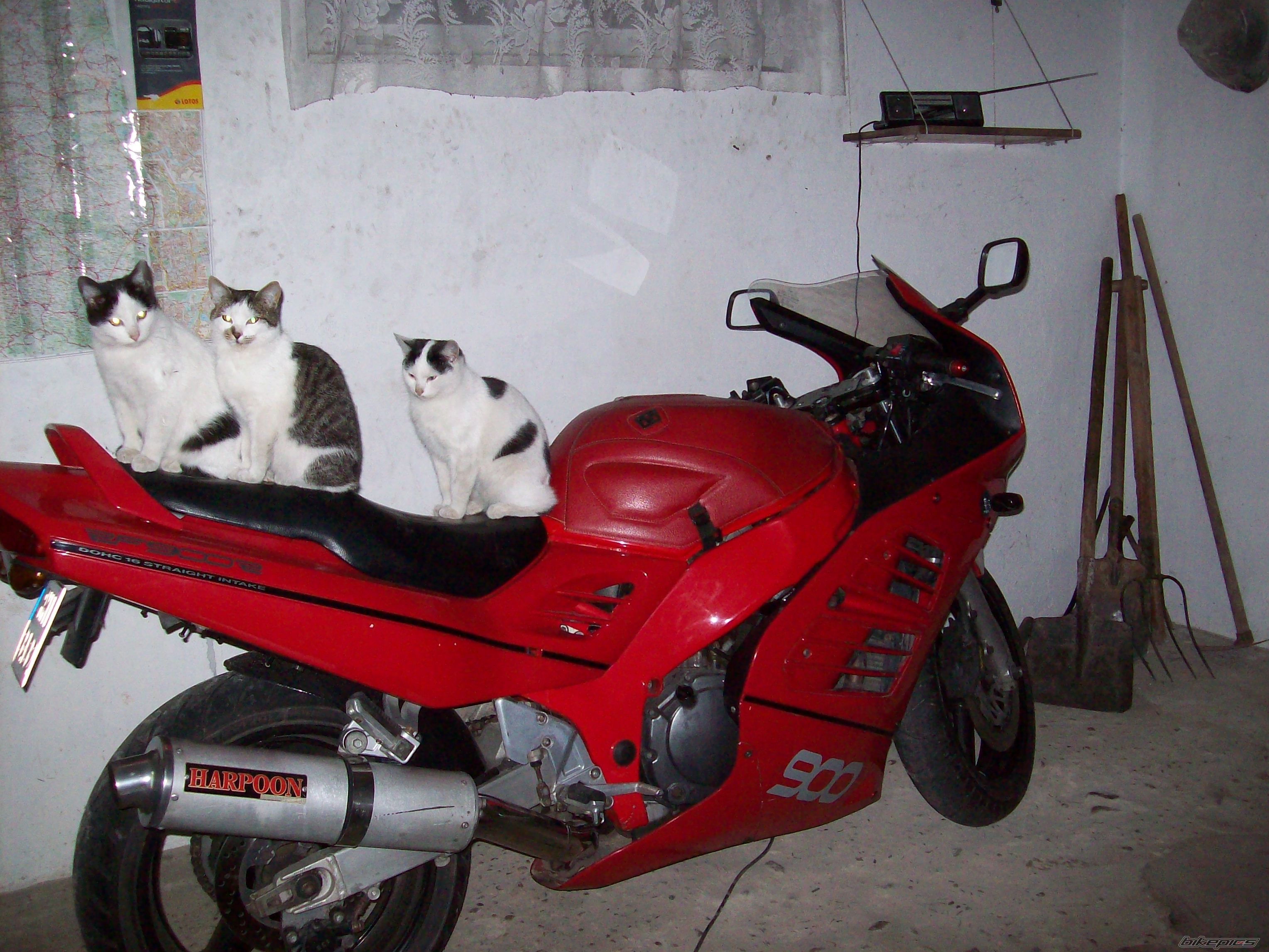 Bike Photo 2135595