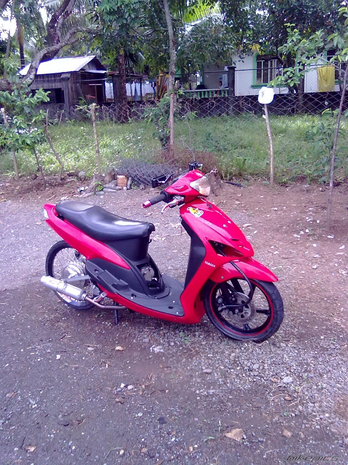 Photo 2135678