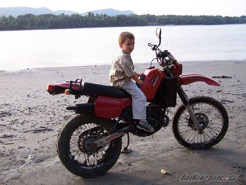 Photo 213581