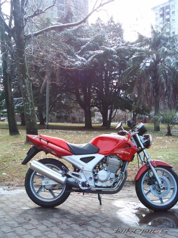 Photo 2135873