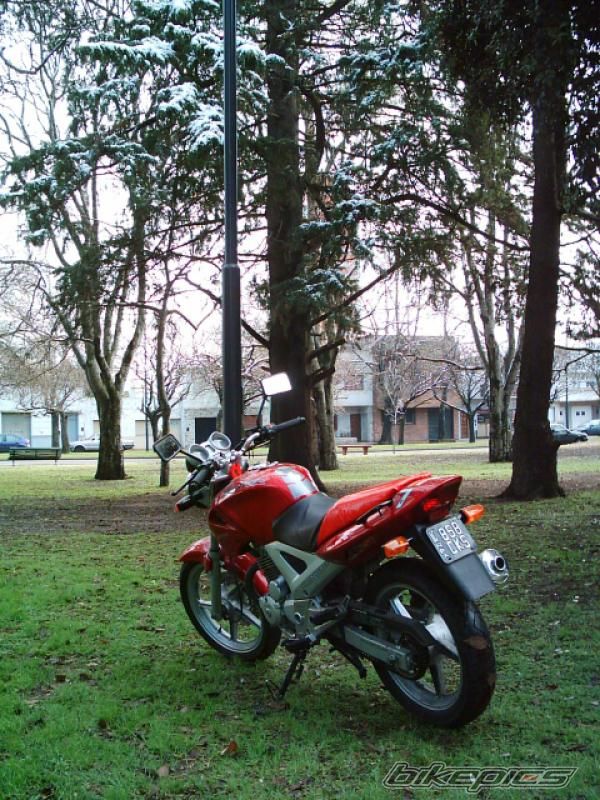 Photo 2135879