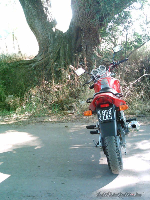 Photo 2135884