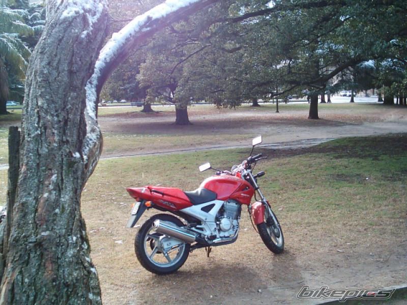 Photo 2135887