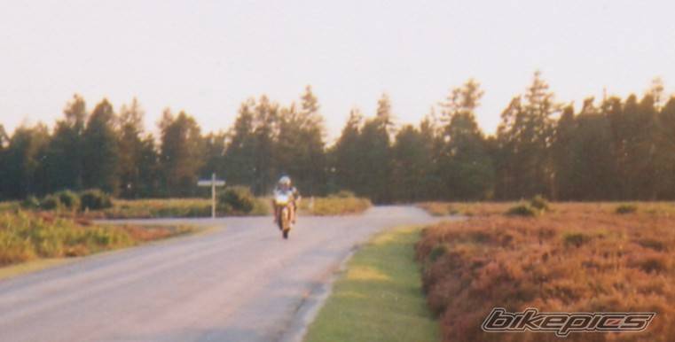 Photo 21359