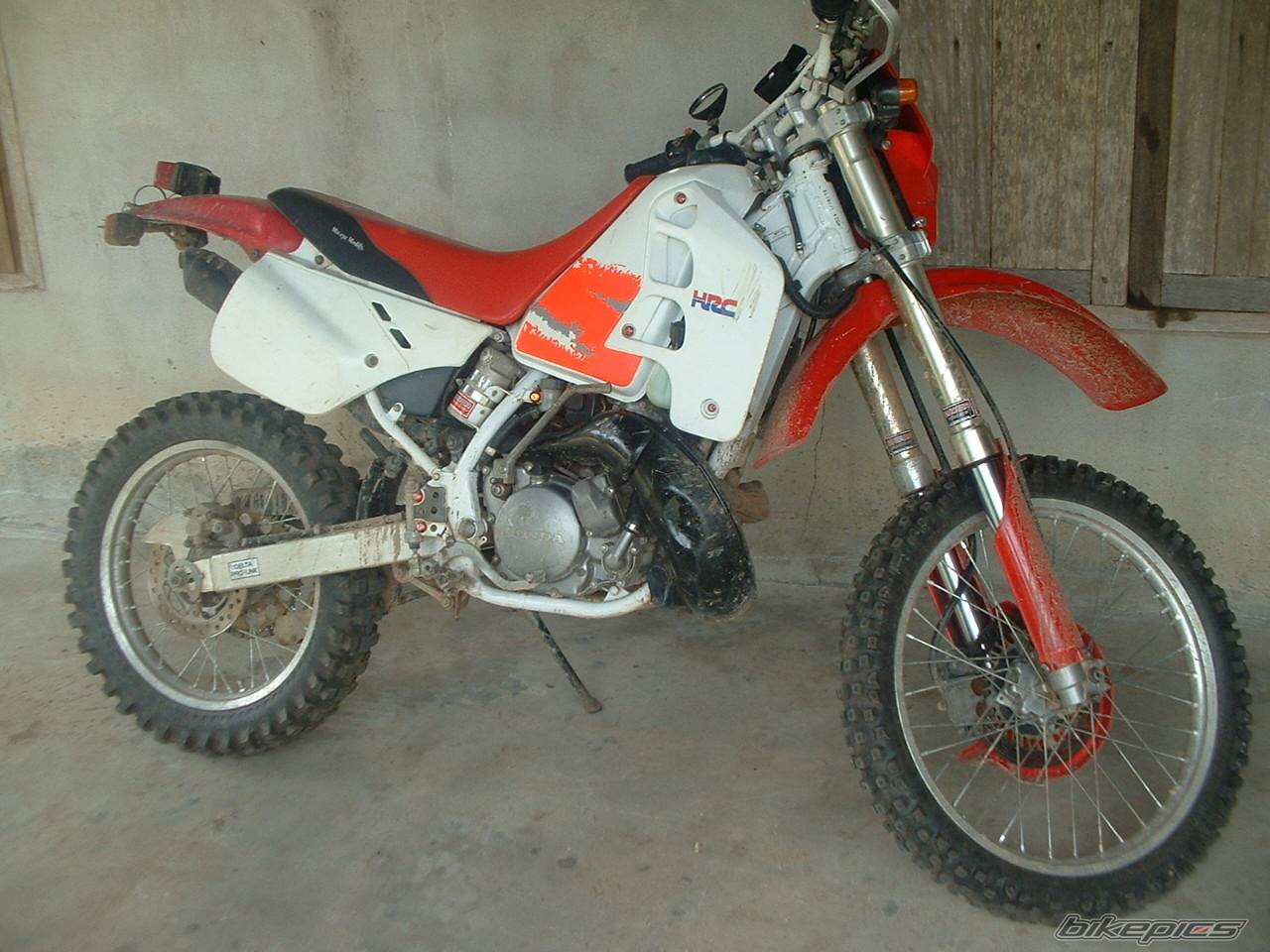 Photo 213596