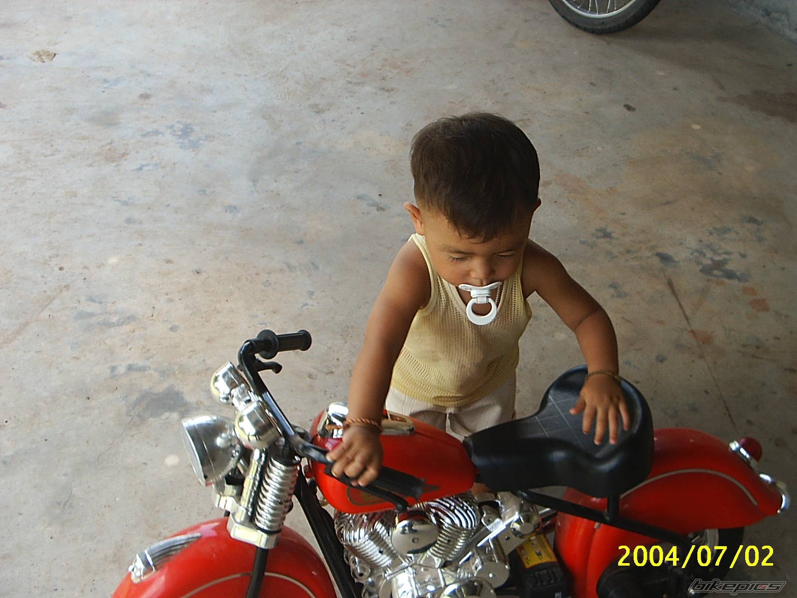 Photo 213609