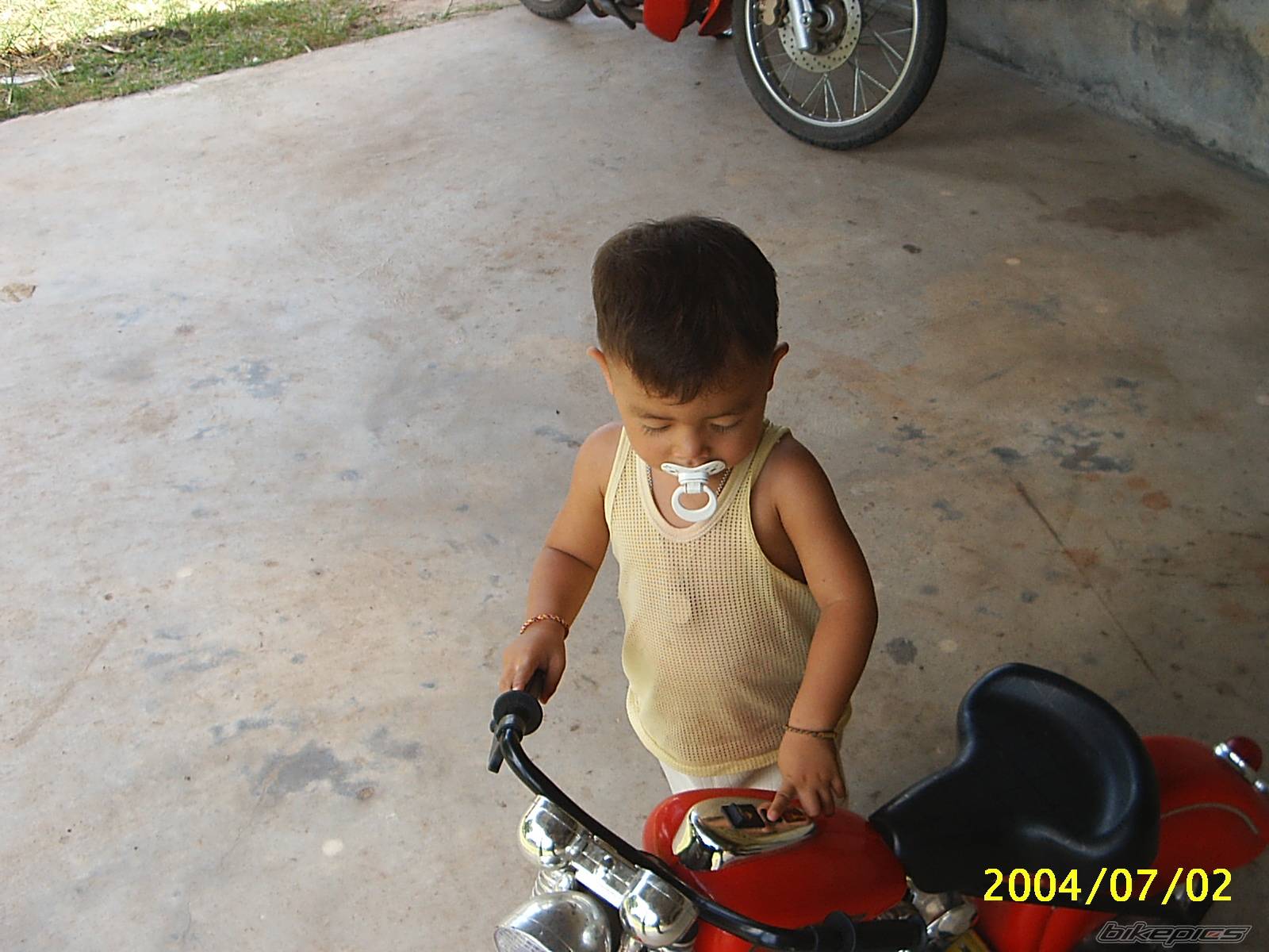 Photo 213611