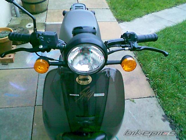 Photo 21362