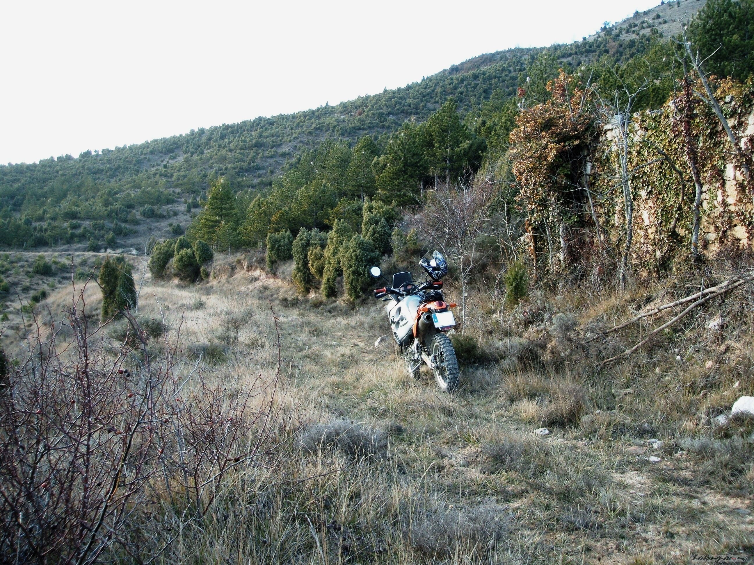 Photo 2136576