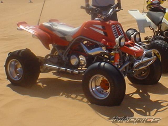 Photo 213665
