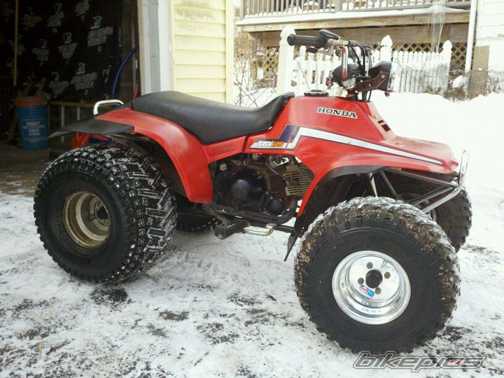 Photo 2136748
