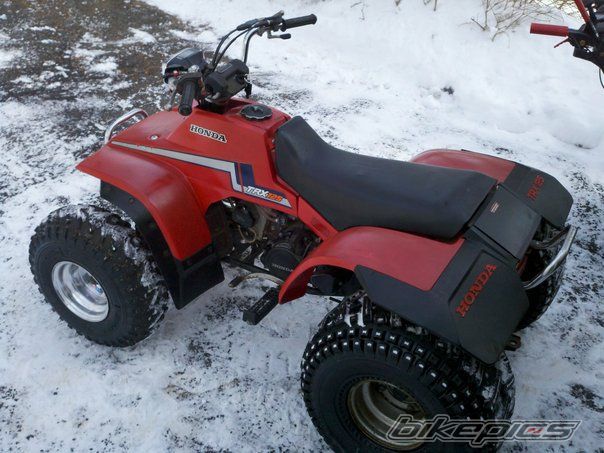 Photo 2136750