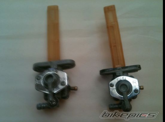 Photo 2136780
