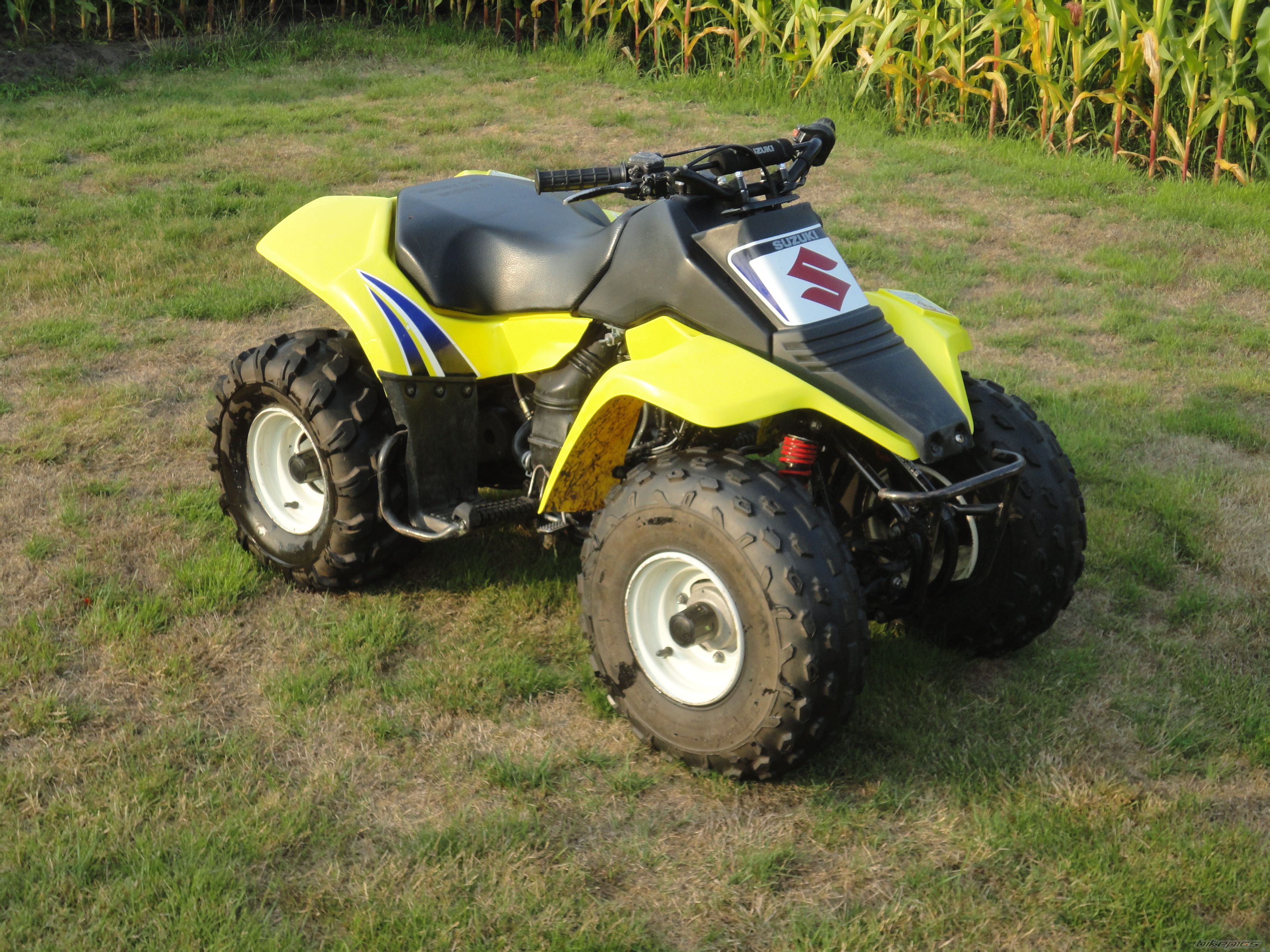 Photo 2137133