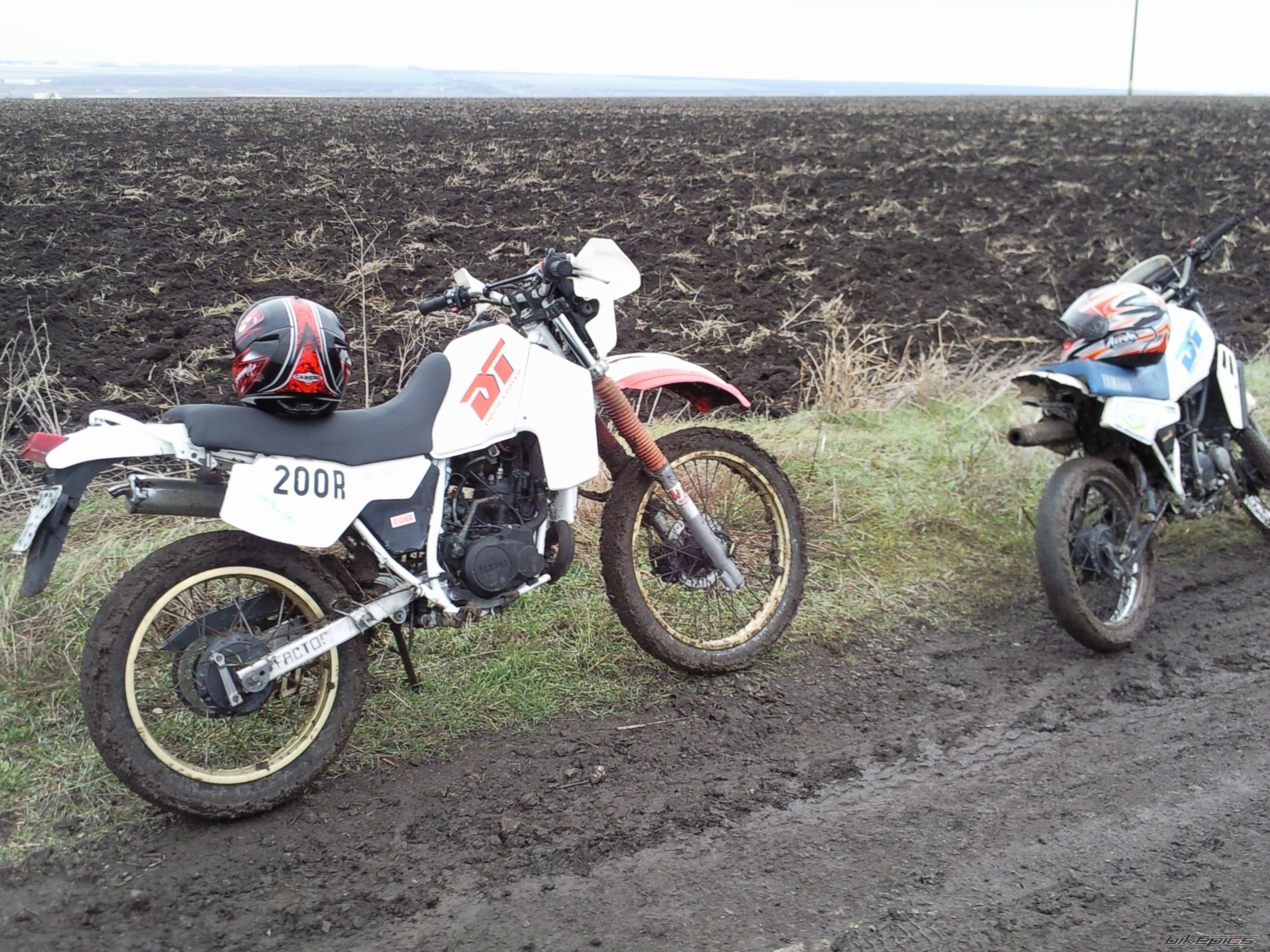 Photo 2137243