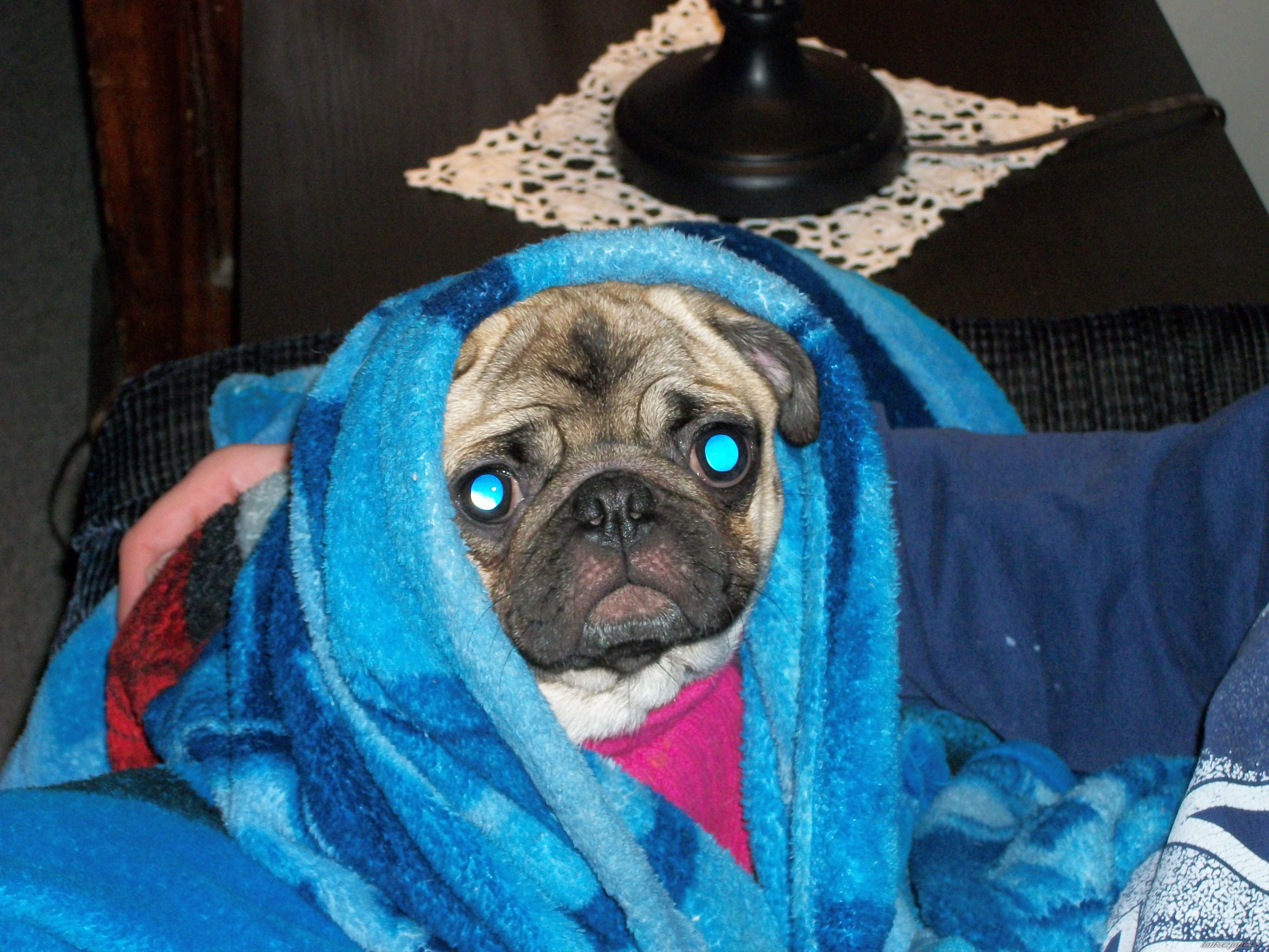 Photo 2137479
