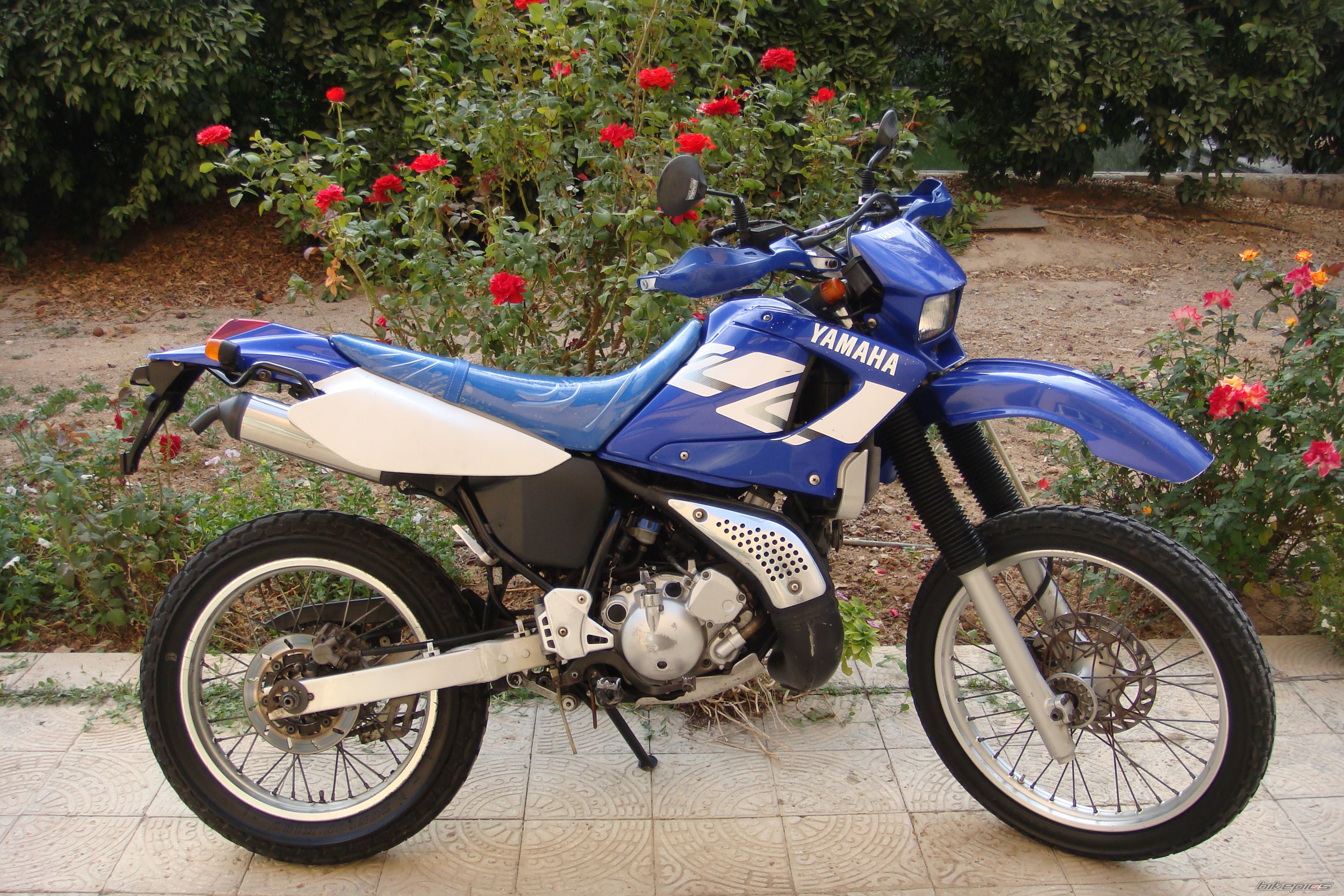 Bike Photo 2137528