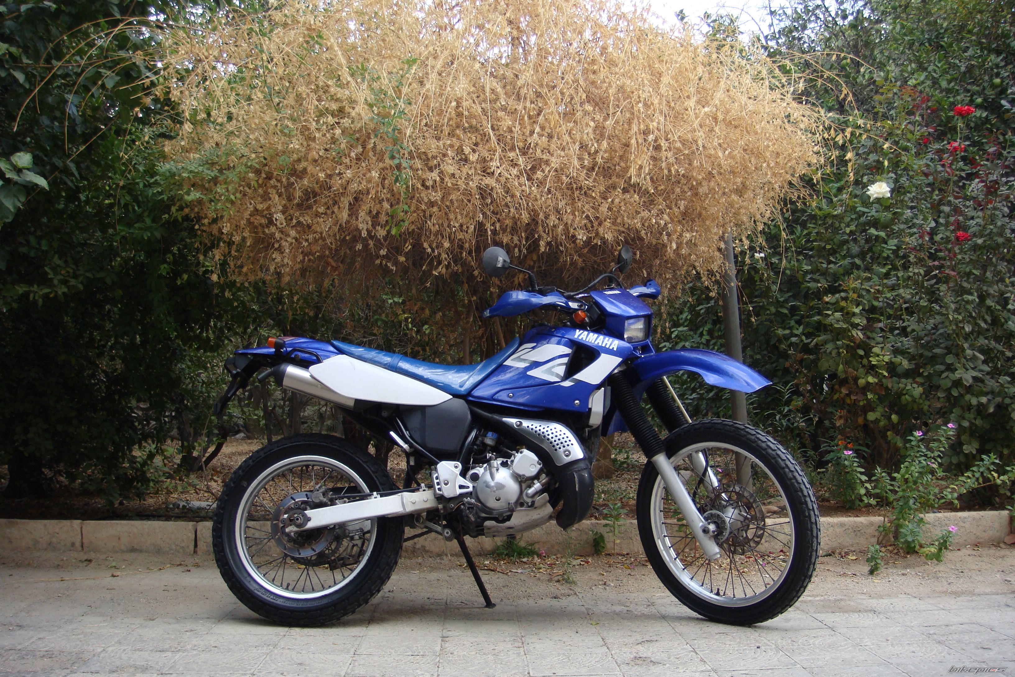 Photo 2137532