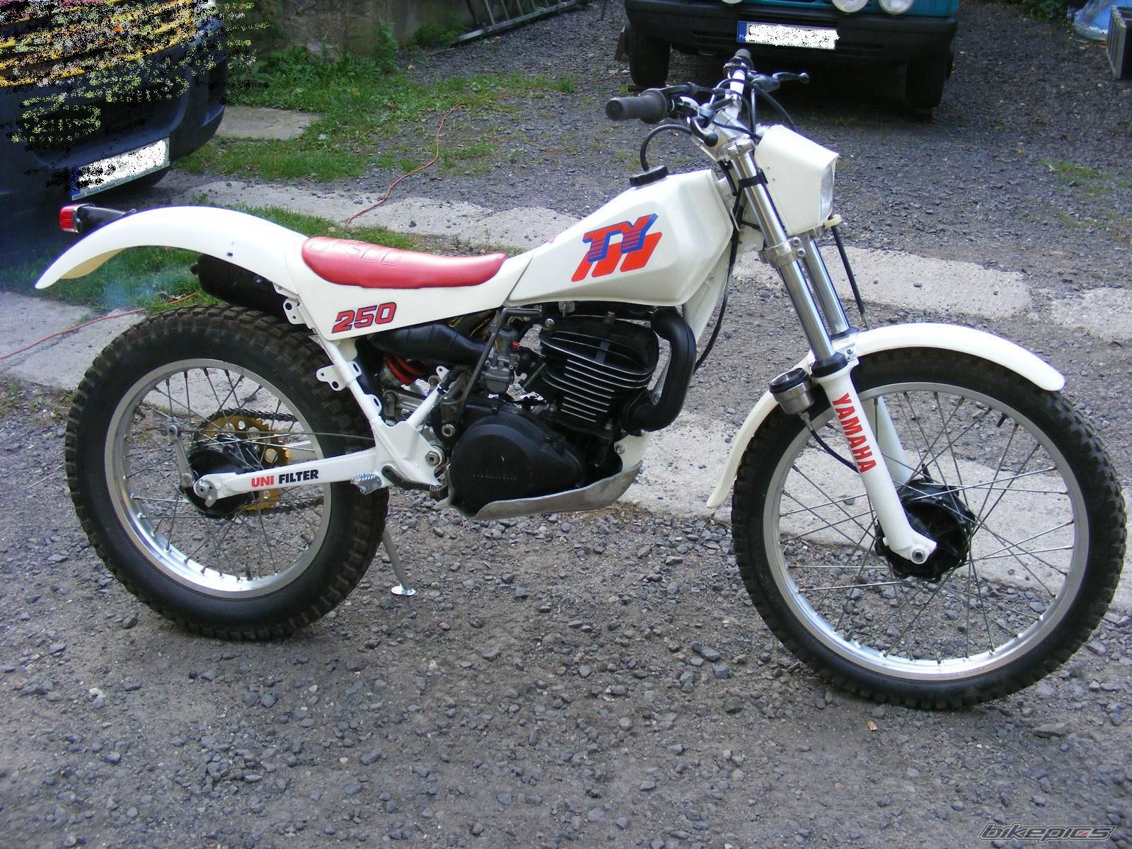 Bike Photo 2137577