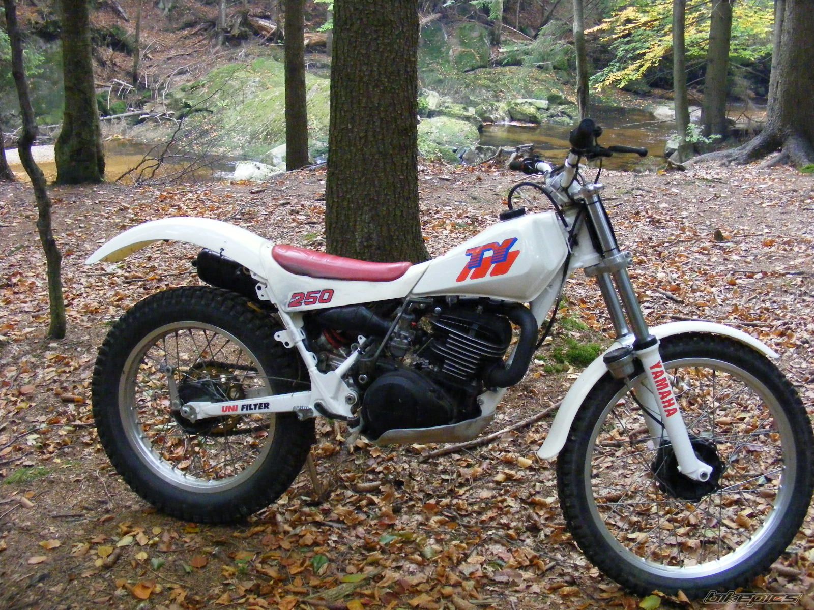 Bike Photo 2137591