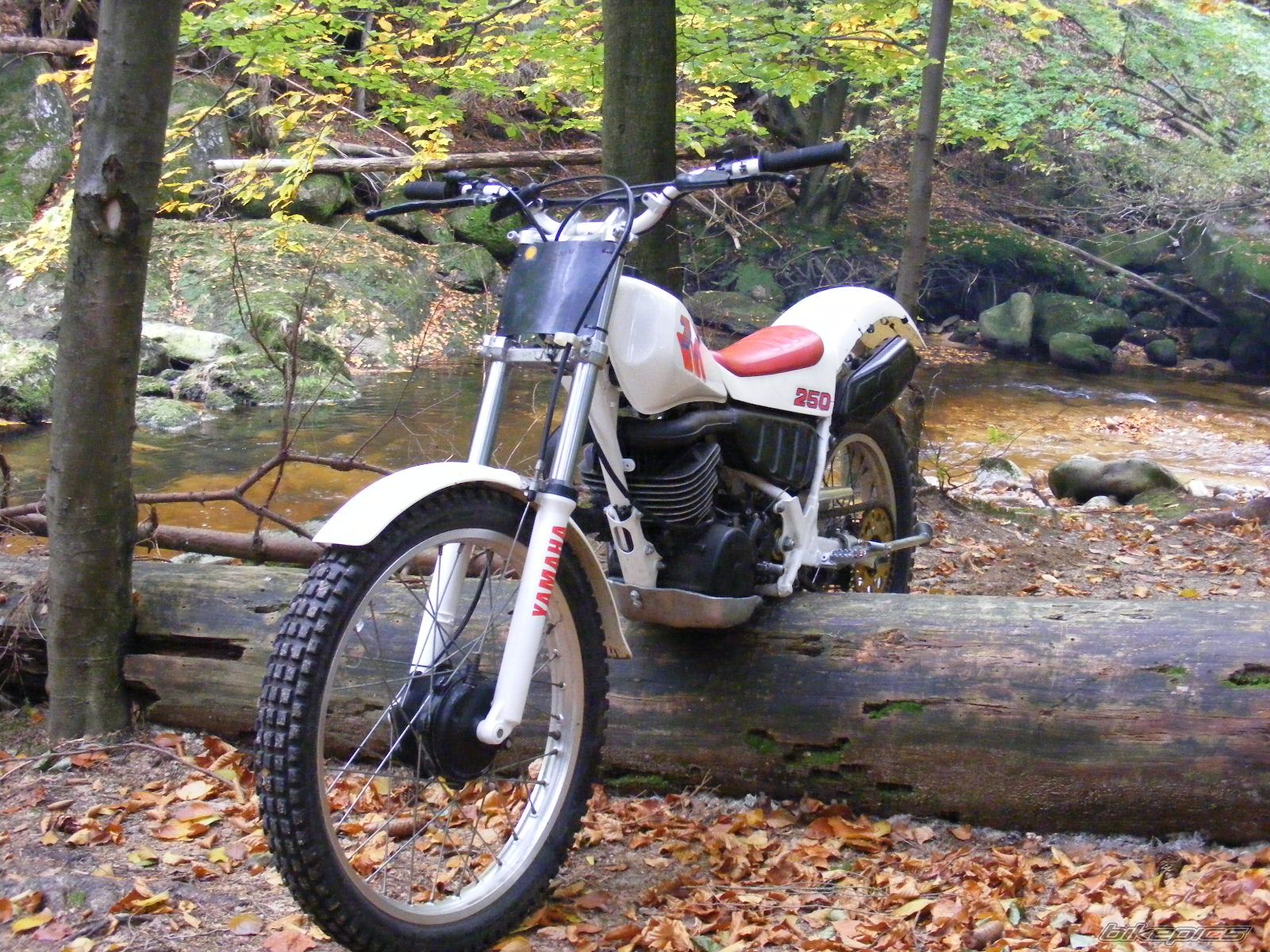 Bike Photo 2137594