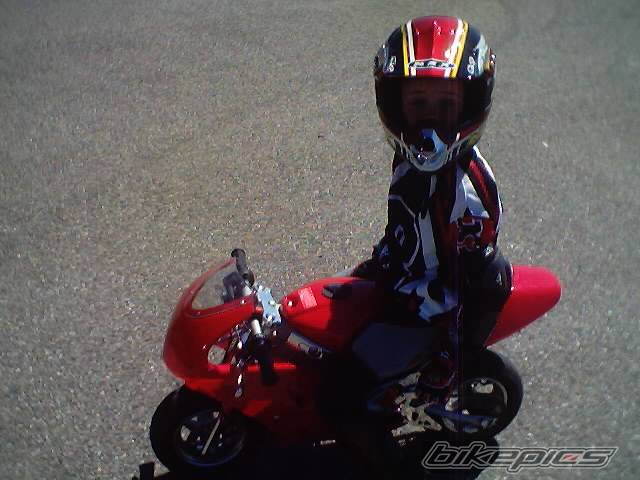 Photo 213778