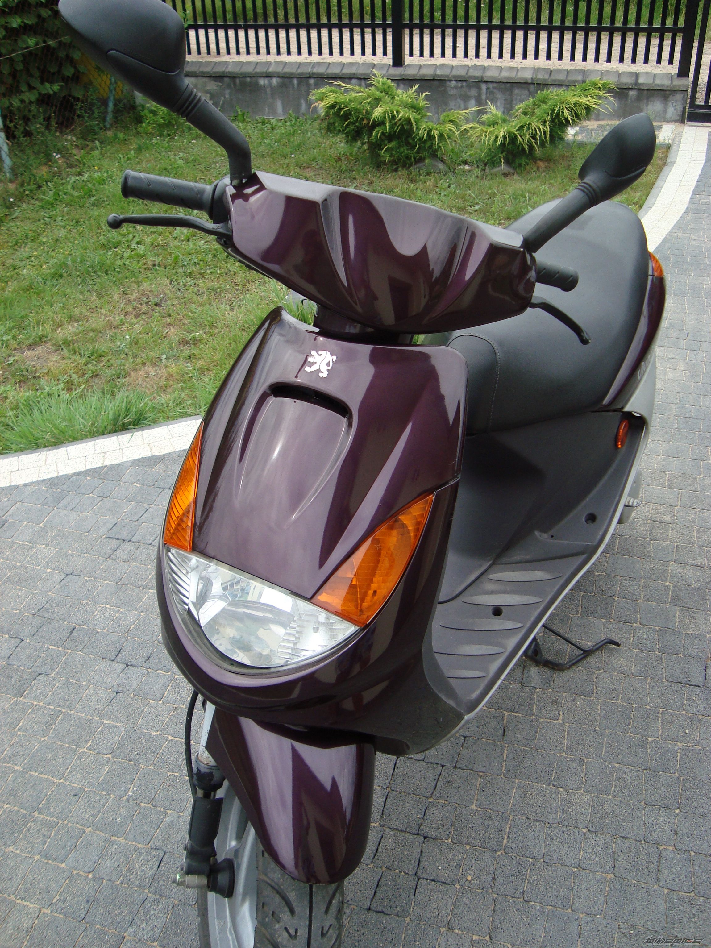 Photo 2137858