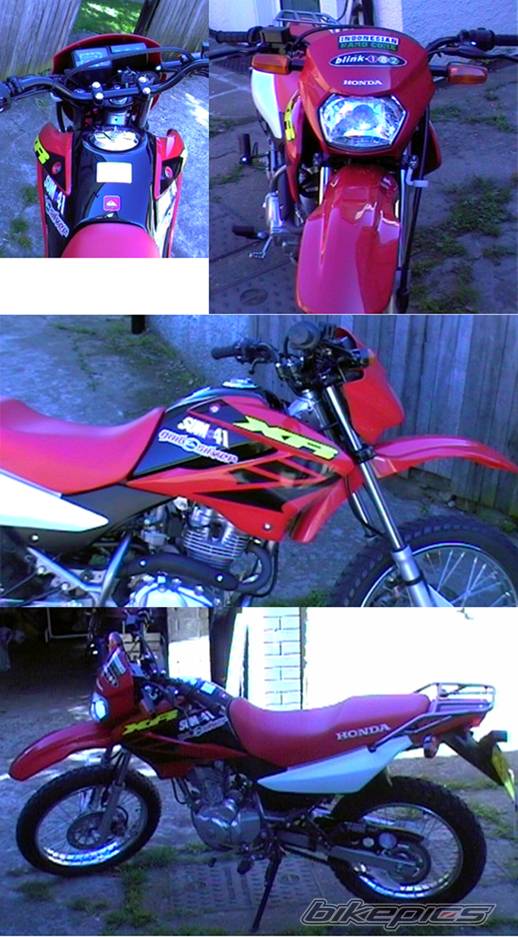Photo 213825