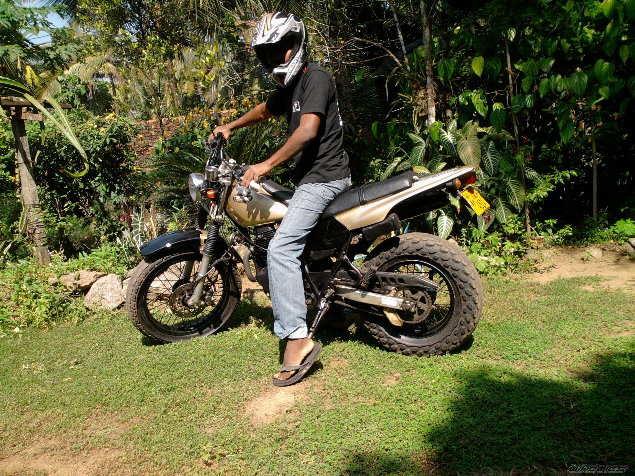 Photo 2138323