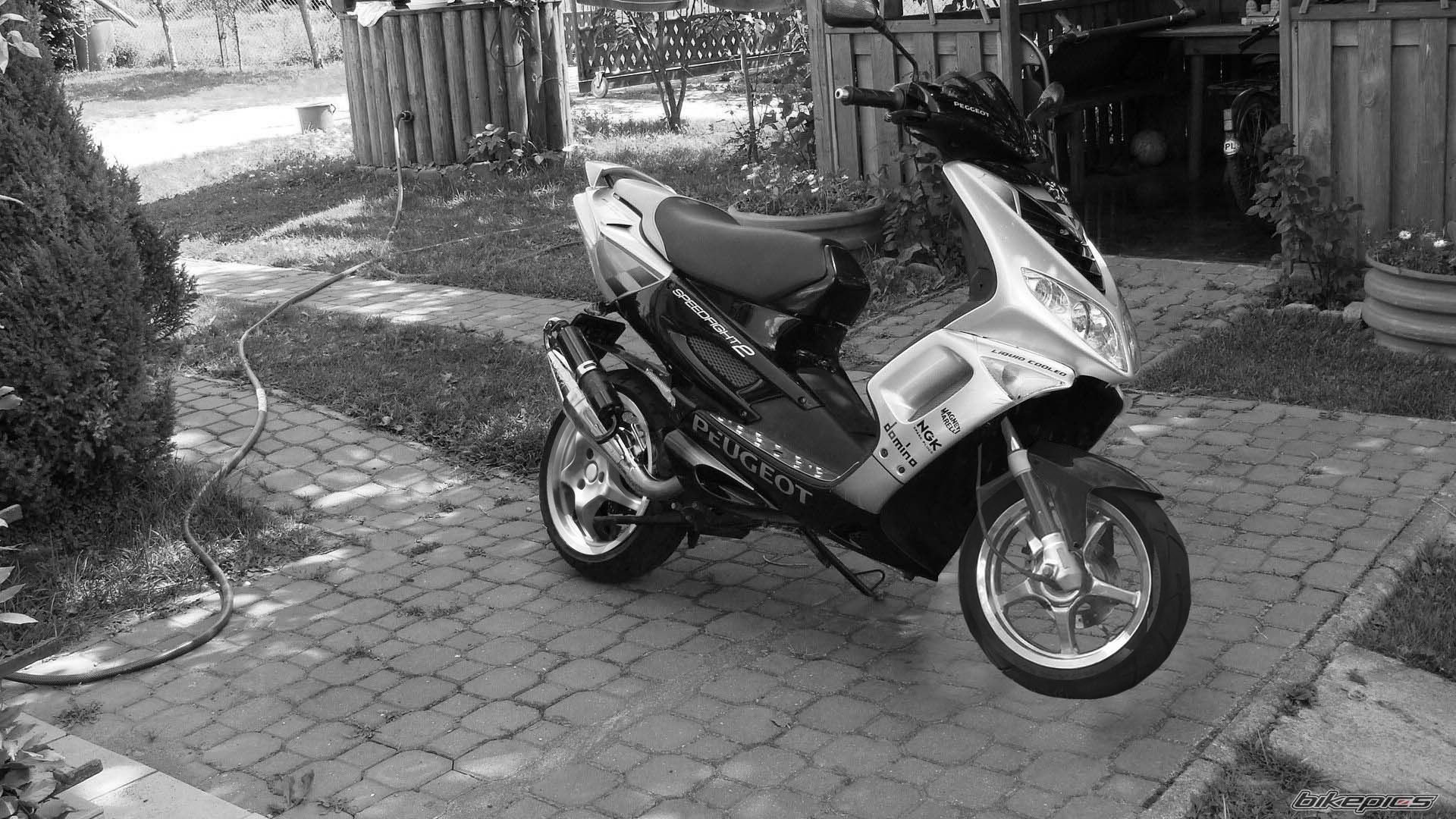 Photo 2138346