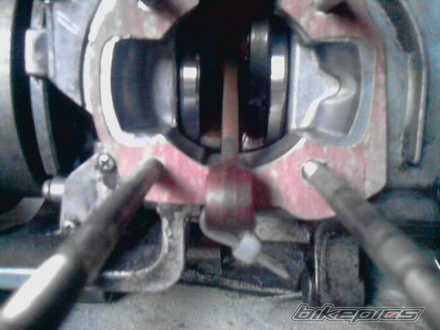 Photo 2138588