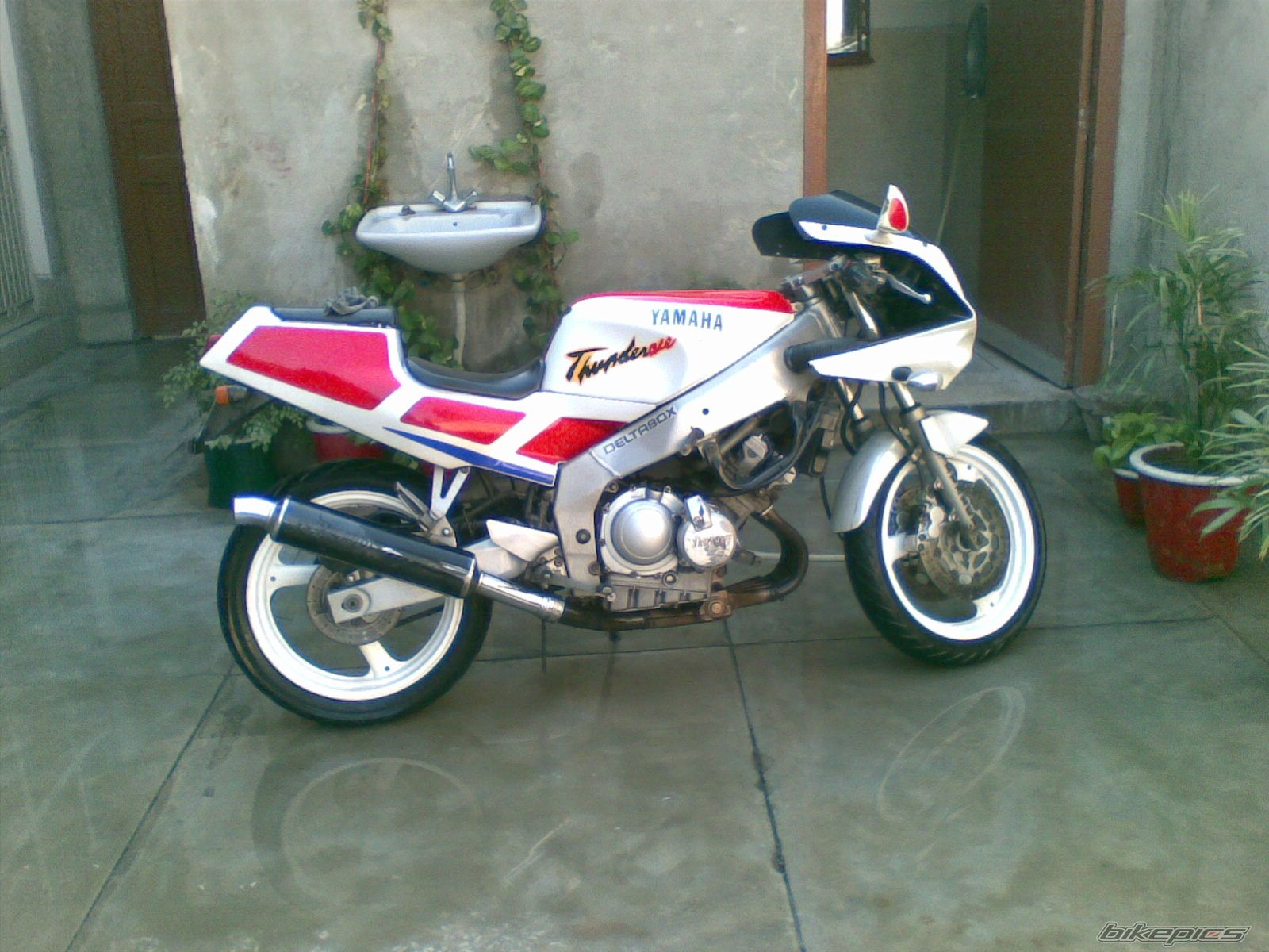 Photo 2138612