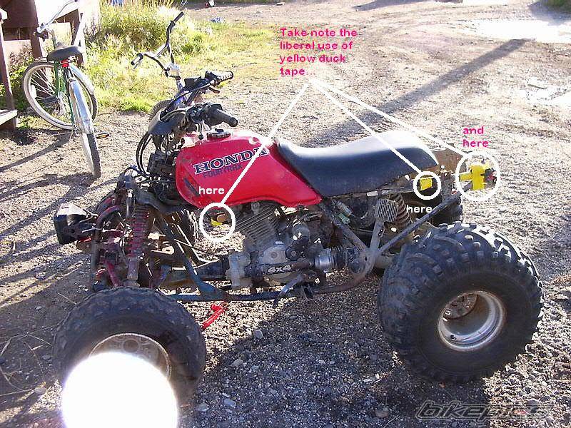 Photo 213862