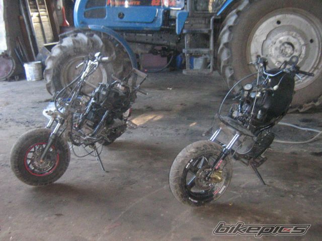 Photo 2138783