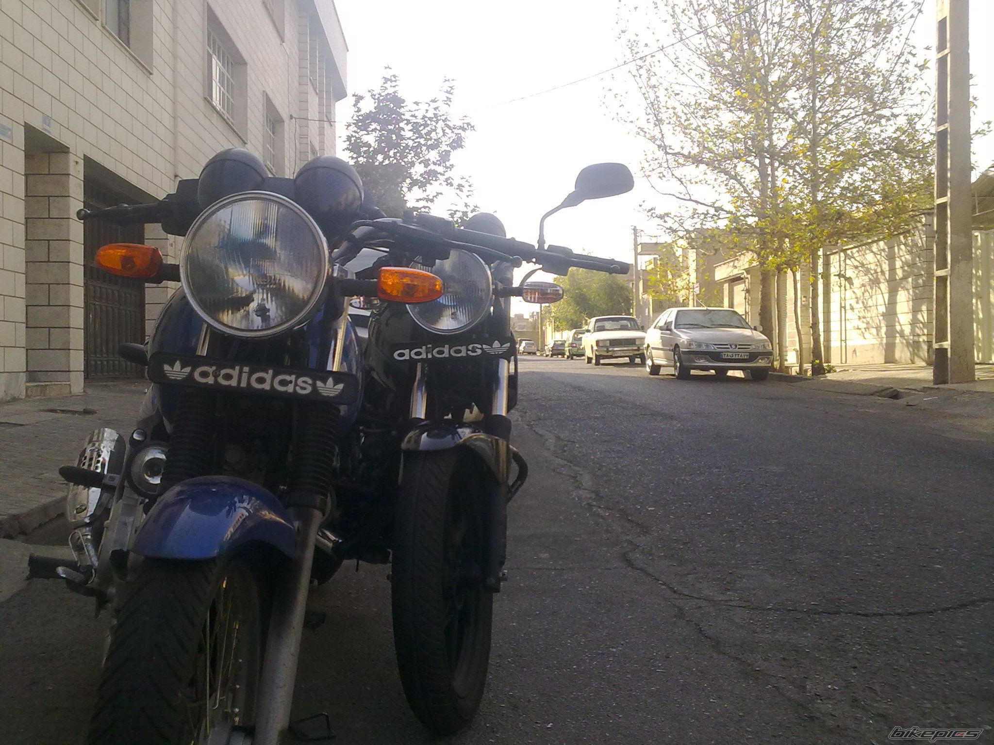 Photo 2138810