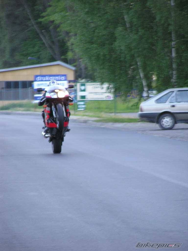 Photo 213886