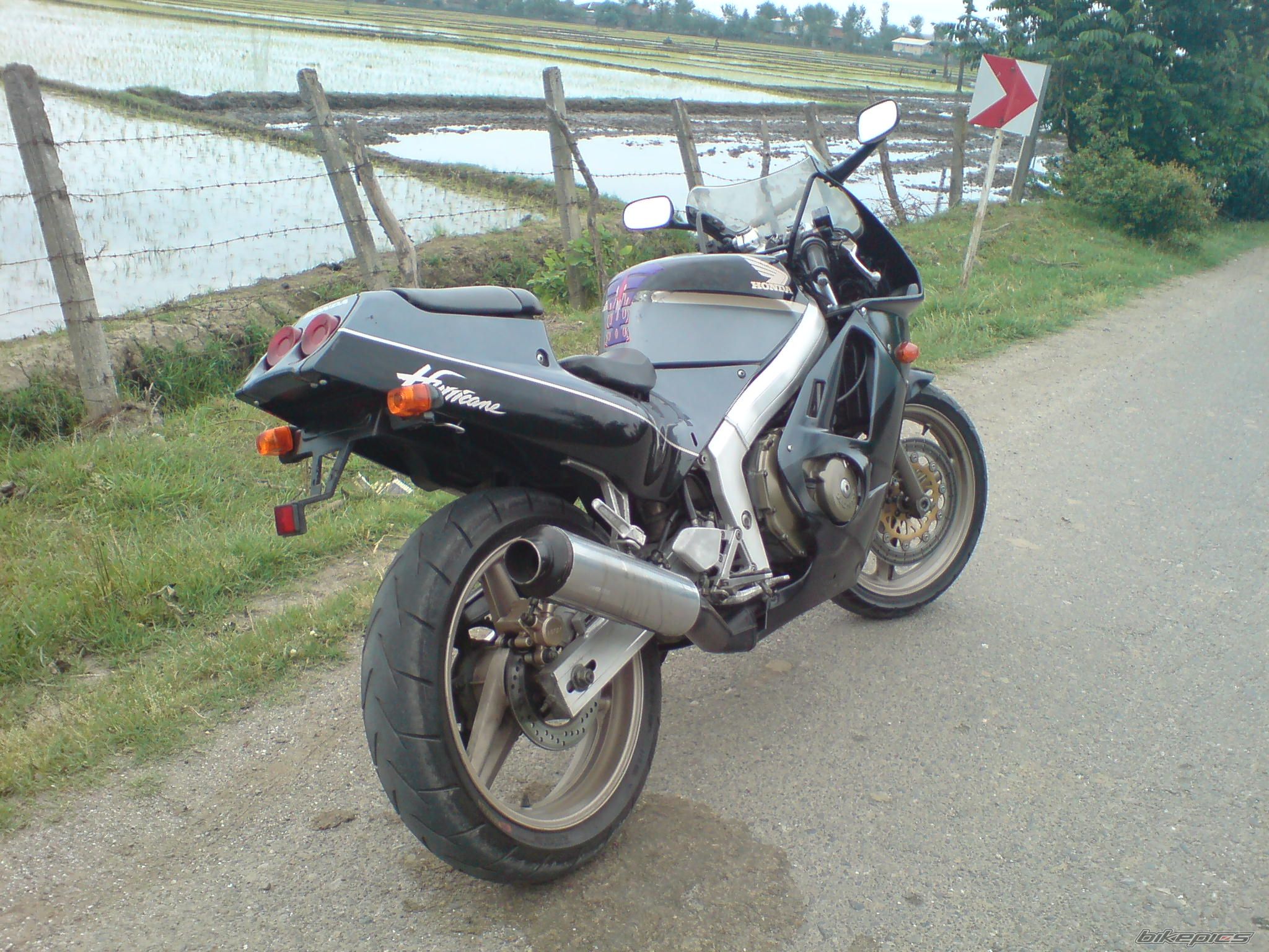 Photo 2138994