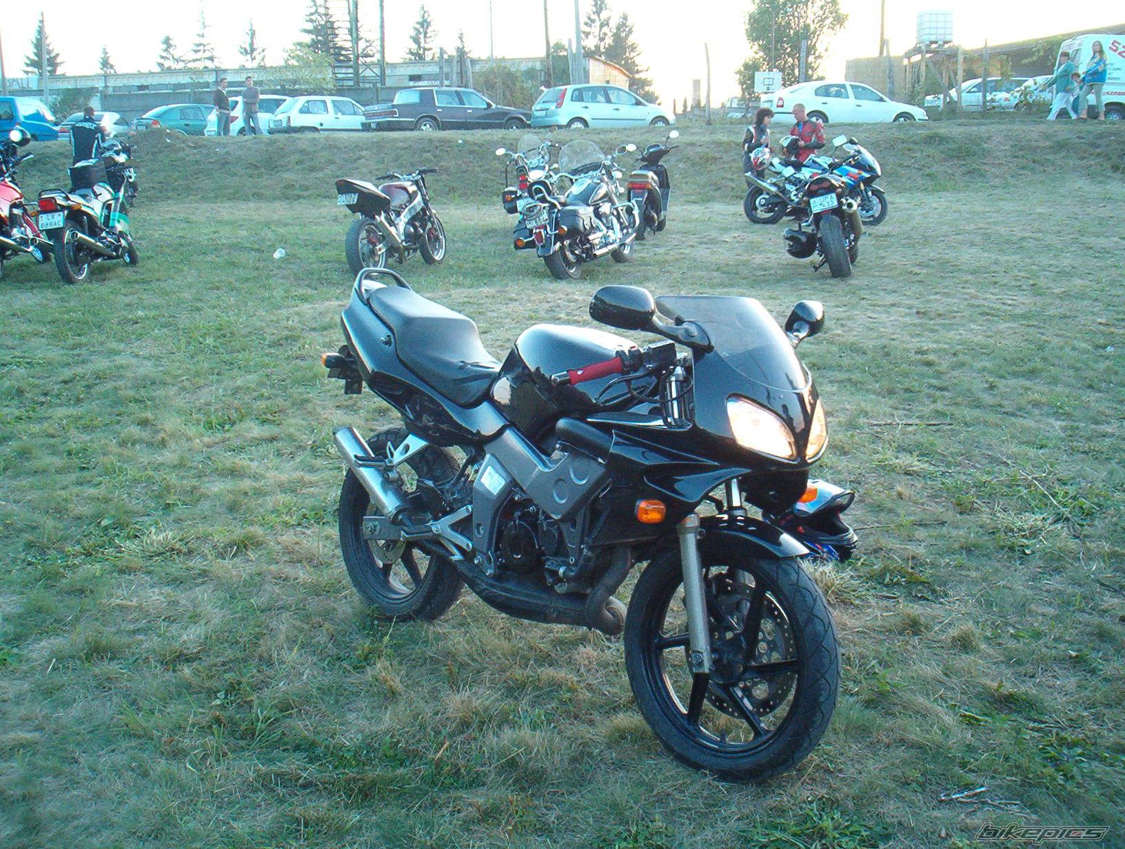 Photo 213906