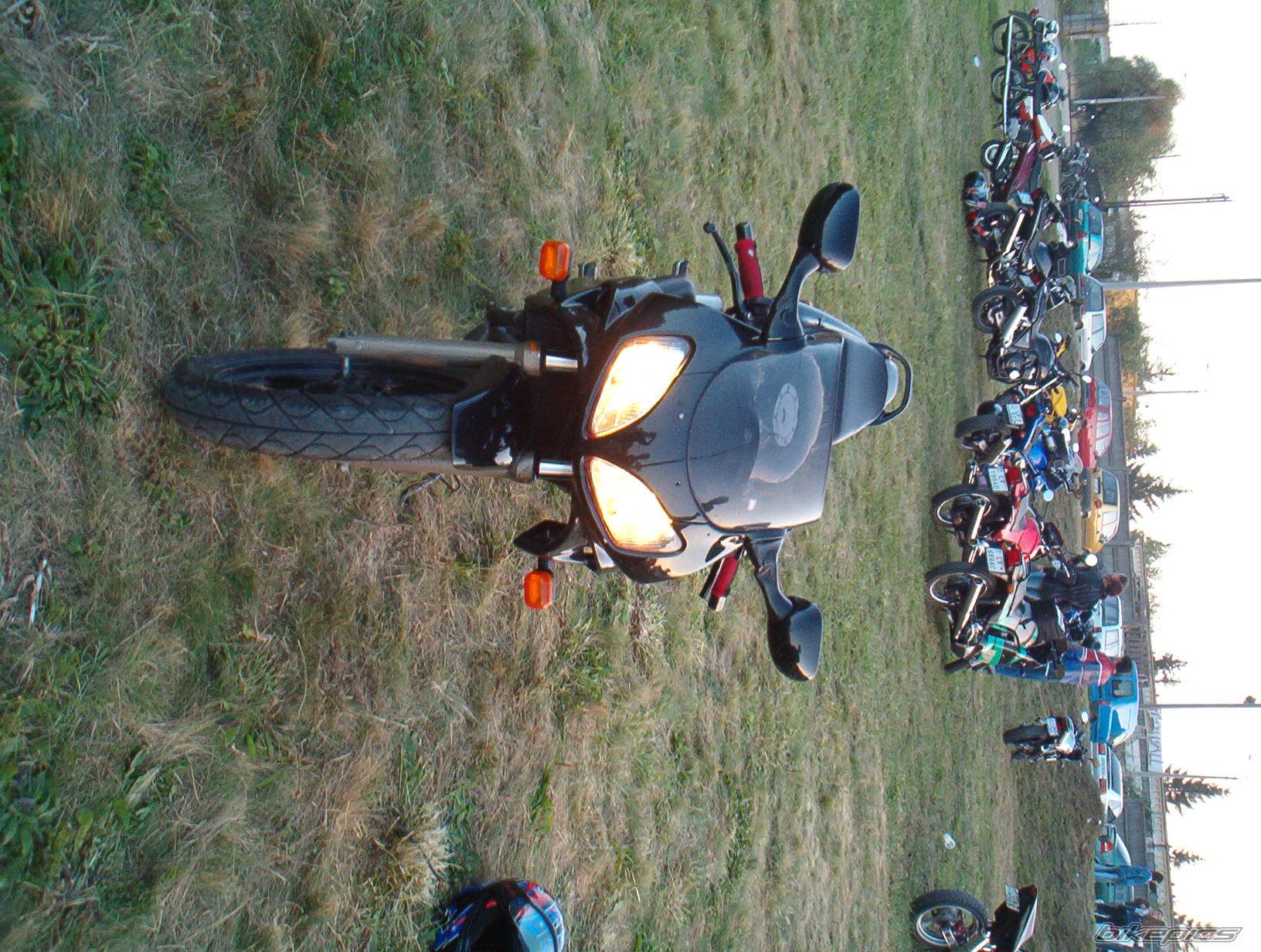 Photo 213908