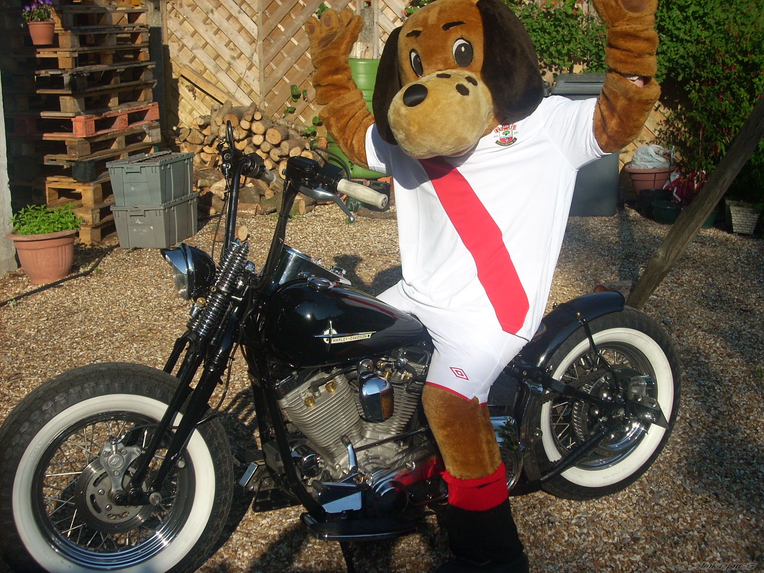 Bike Photo 2139100