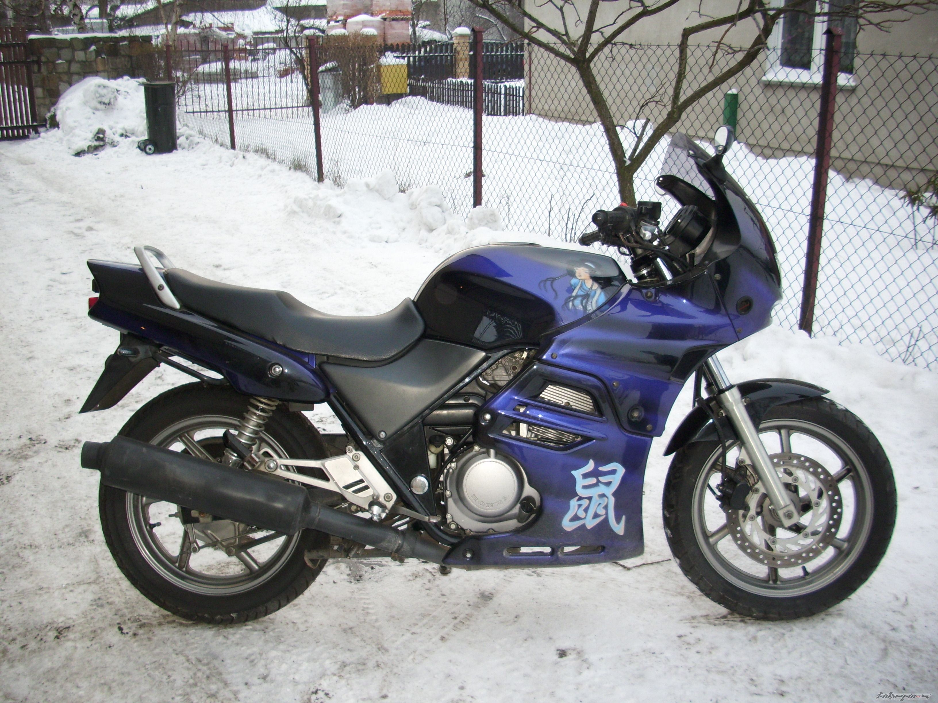 Photo 2139493