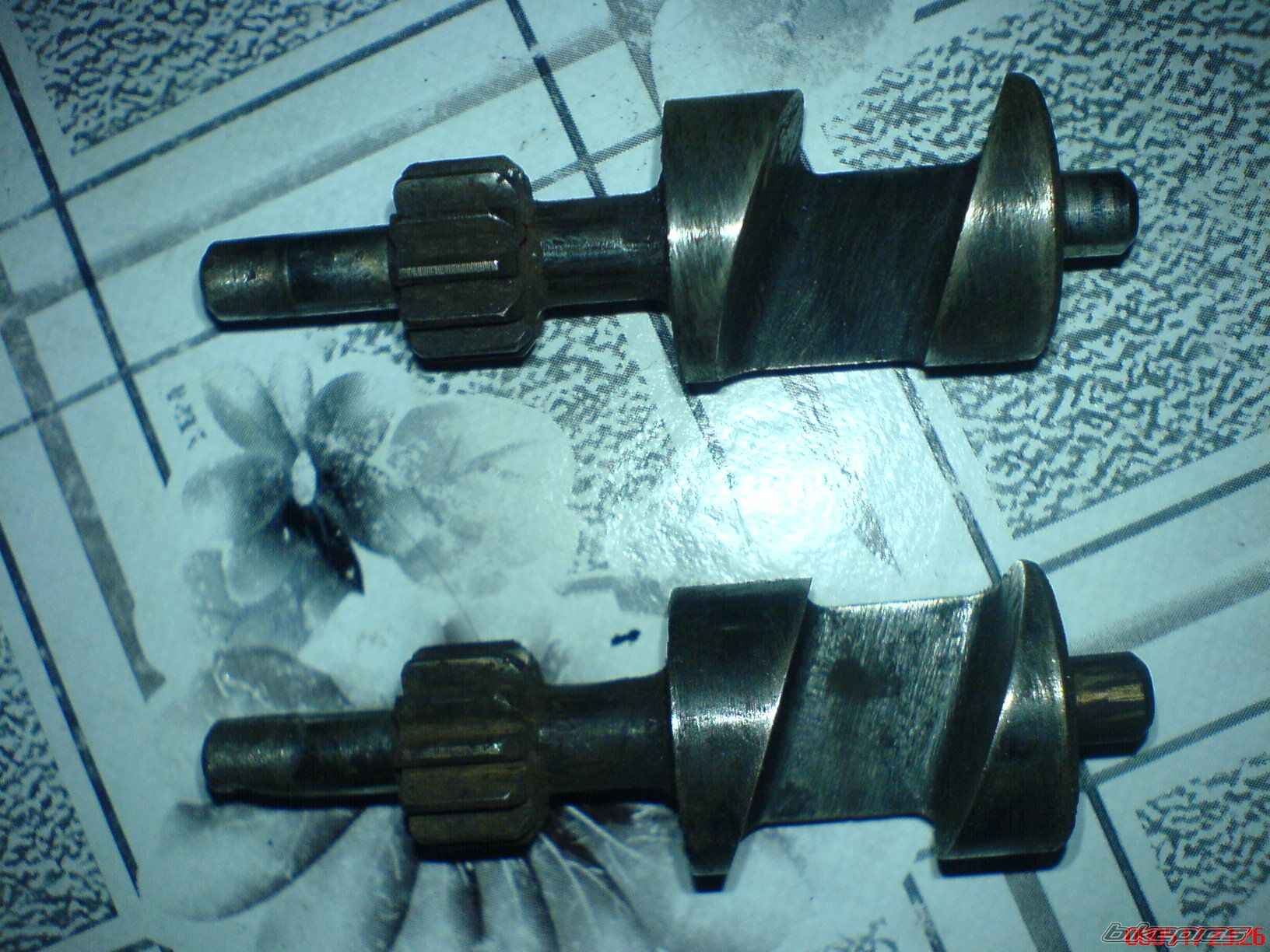 Photo 2139636