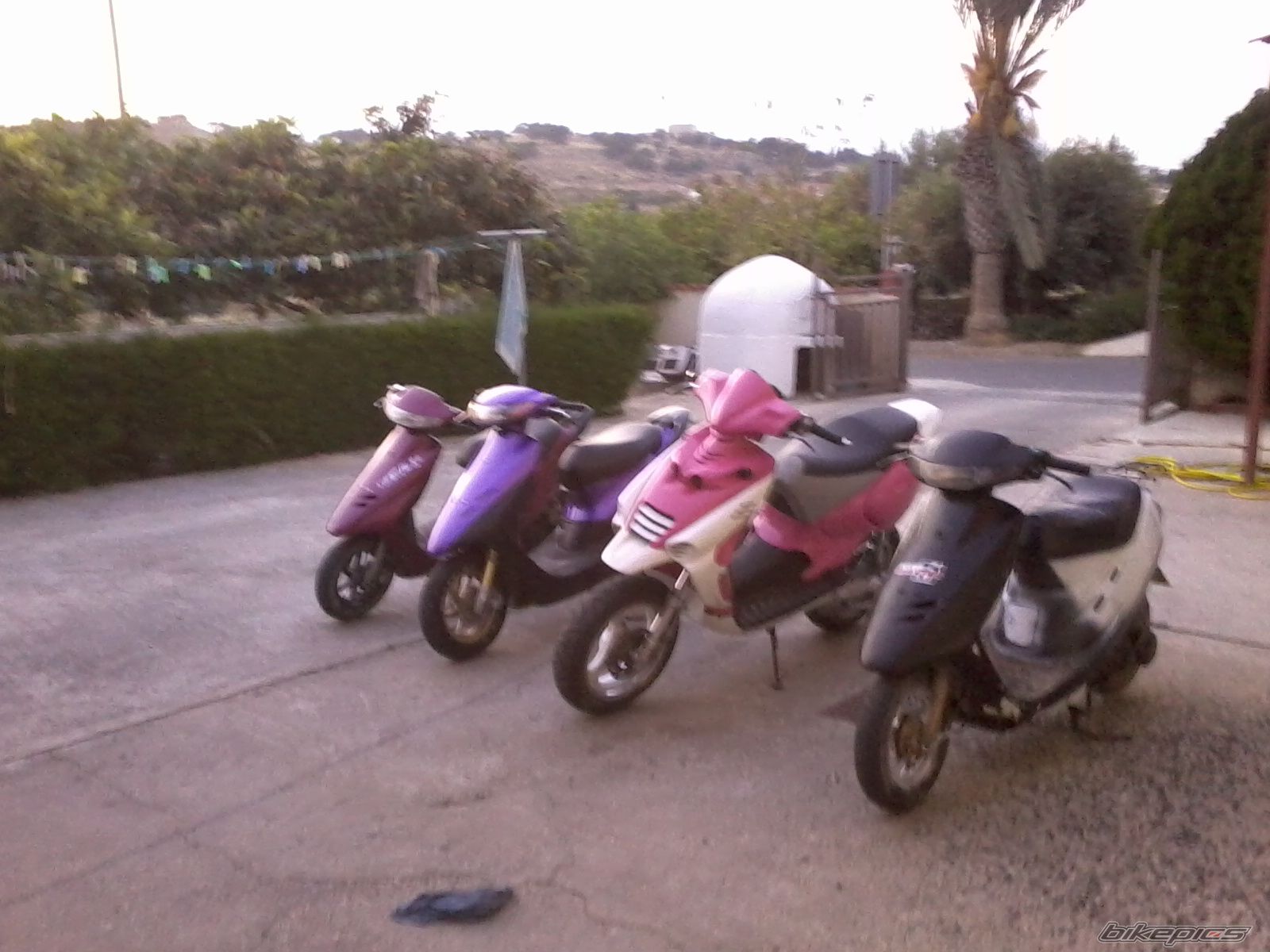 Photo 2139729