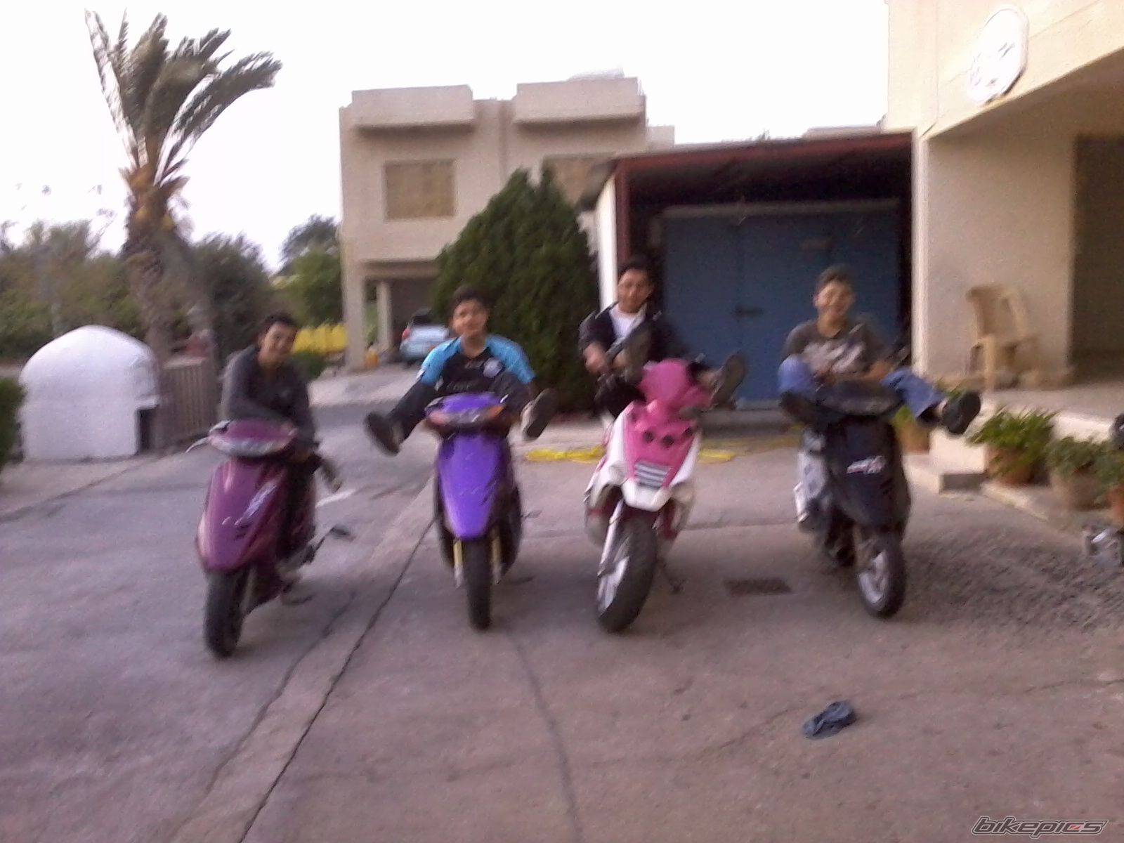 Photo 2139731