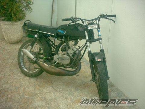 Photo 213976